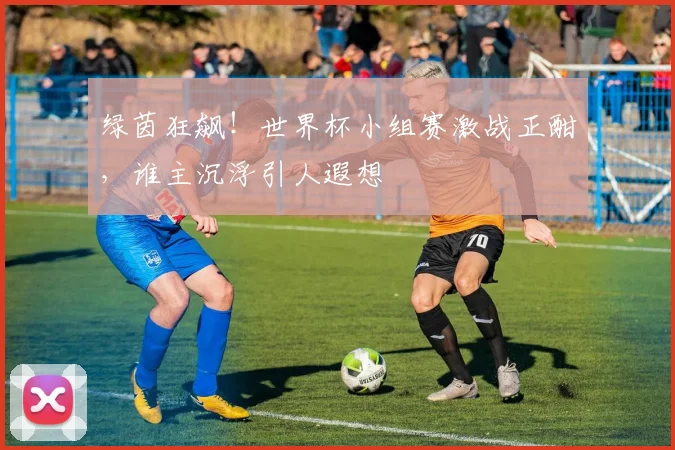 绿茵狂飙！世界杯小组赛激战正酣，谁主沉浮引人遐想