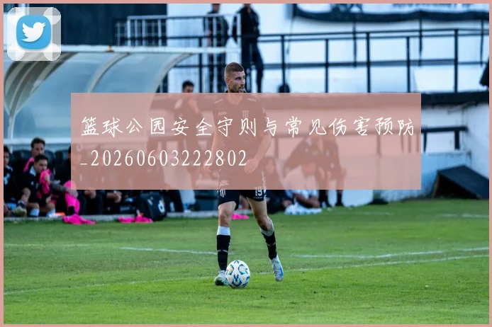 篮球公园安全守则与常见伤害预防_20260603222802